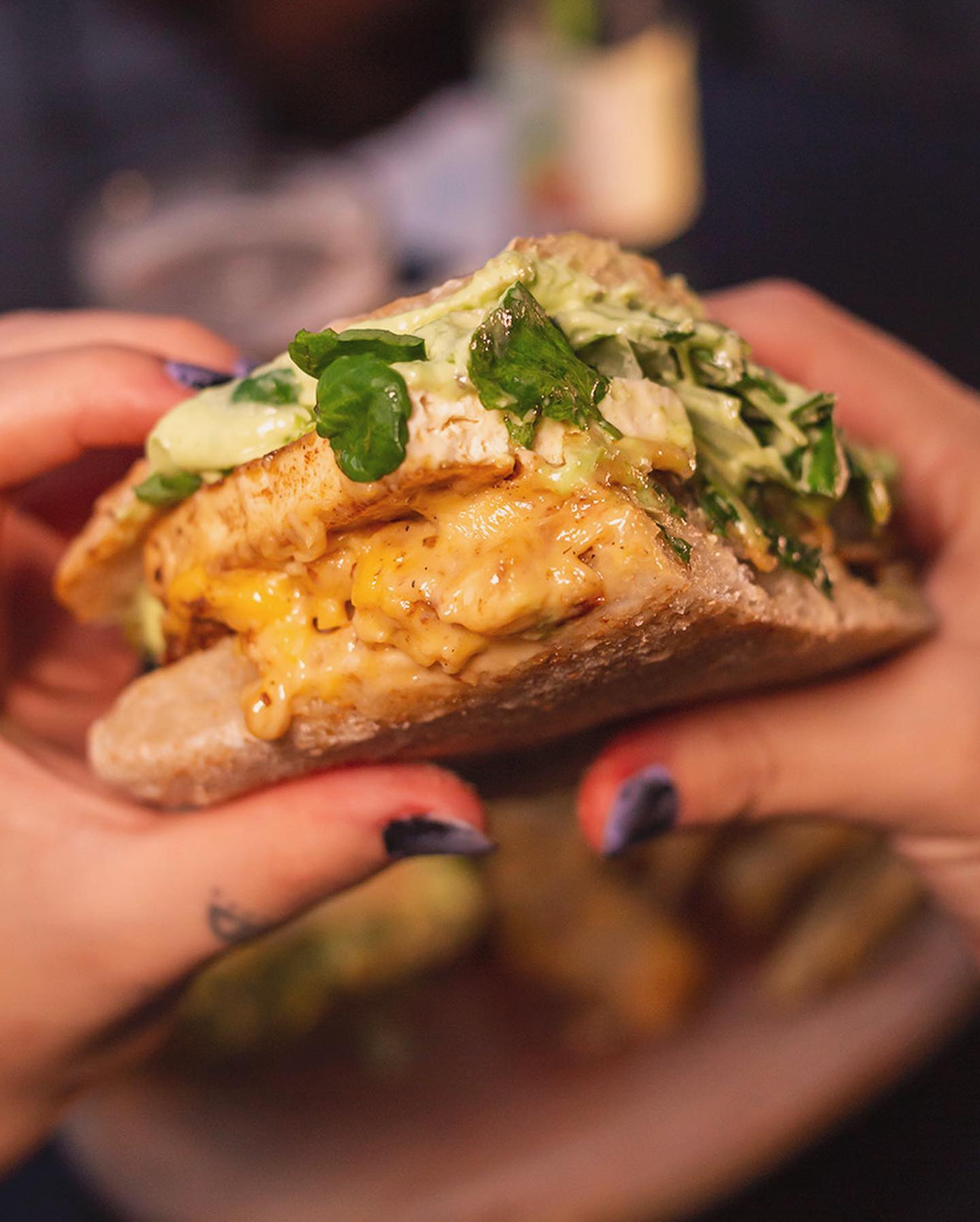 catapilcana-vegana-87